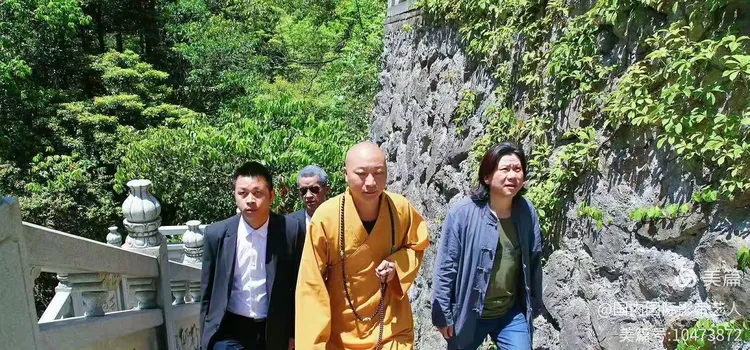 影视演员杨启华